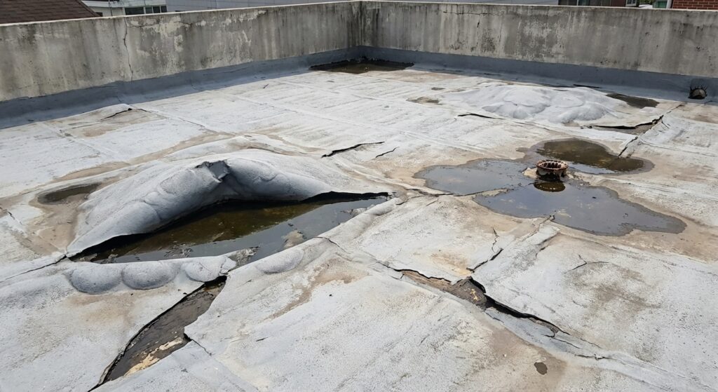 대구 옥상 방수, 10년 지나면 '시한폭탄'... "여름 장마가 건물 수명 갉아먹는다"